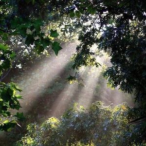 Meet your Posher, Yue